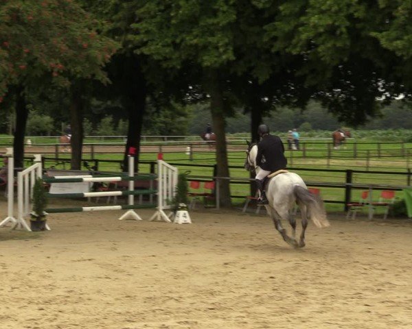 Reitturnier Grefrath - Reitanlage Heitzerend 2024