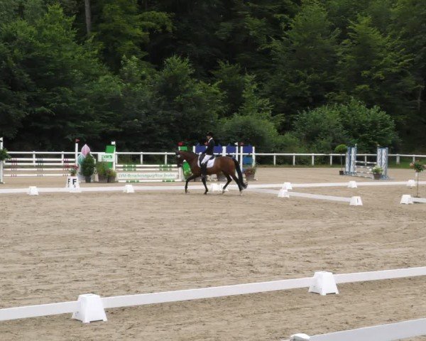 Reitturnier Hünfelden-Kirberg 2024