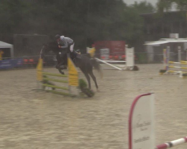 Reitturnier Grefrath - Reitanlage Heitzerend 2024