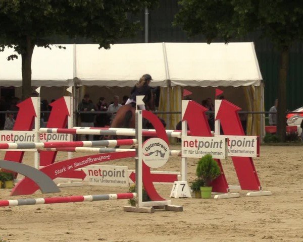 Reitturnier Grefrath - Reitanlage Heitzerend 2024