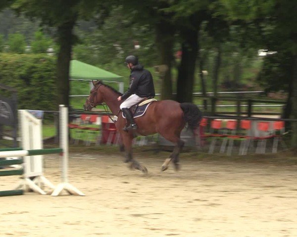 Reitturnier Grefrath - Reitanlage Heitzerend 2024