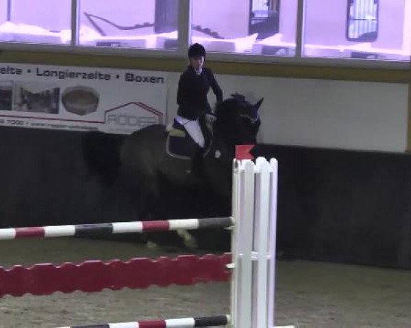 Late Entry Sauldorf-Boll 09.03.2013