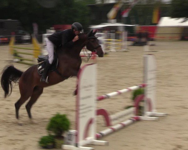 Reitturnier Grefrath - Reitanlage Heitzerend 2024