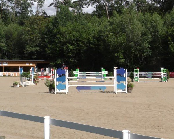 Reitturnier Hünfelden-Kirberg 2024
