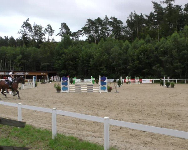 Reitturnier Hünfelden-Kirberg 2024
