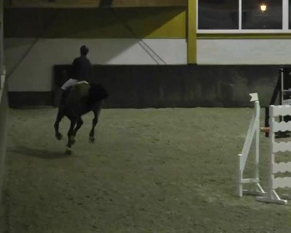 Late Entry Sauldorf-Boll 09.03.2013