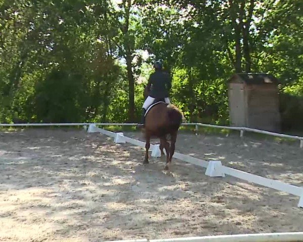 Reitturnier Hof-Haidt/Ofr. 2024