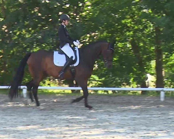 Reitturnier Hof-Haidt/Ofr. 2024