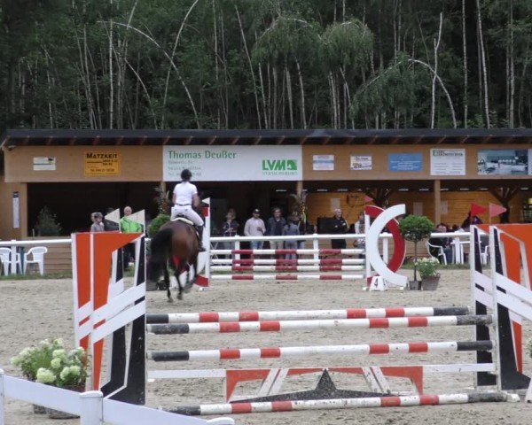 Reitturnier Hünfelden-Kirberg 2024