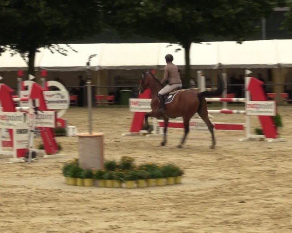Reitturnier Grefrath - Reitanlage Heitzerend 2024