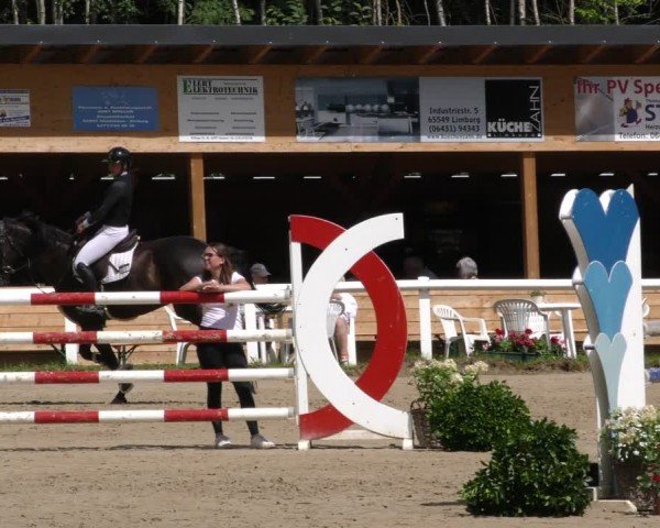 Reitturnier Hünfelden-Kirberg 2024