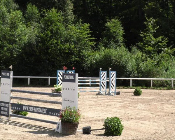 Reitturnier Hünfelden-Kirberg 2024