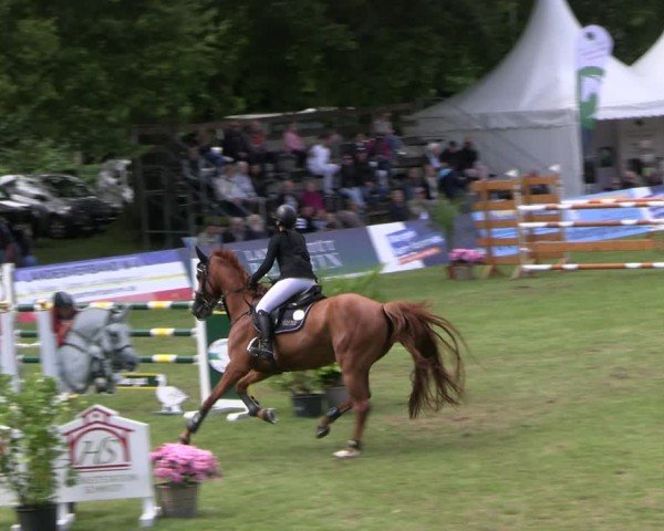 Reitturnier Neu Benthen 2024