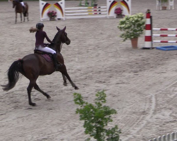 Reitturnier Prussendorf 2024
