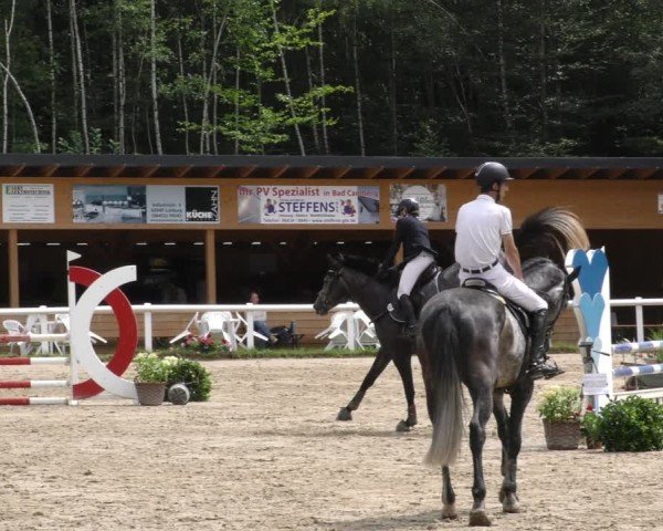 Reitturnier Hünfelden-Kirberg 2024