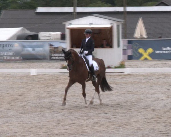 Dressurturnier Seewalchen 2024