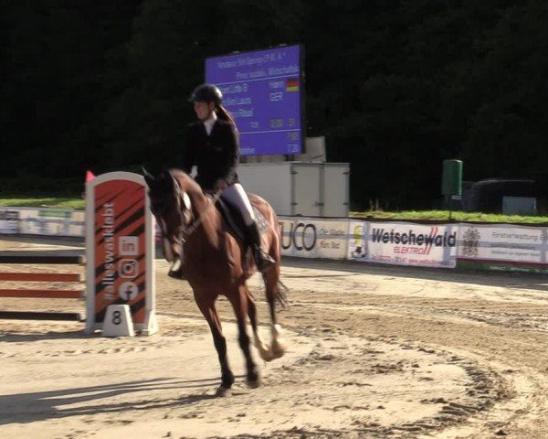 Reitturnier Hemer-Oese an der Edelburg 2024