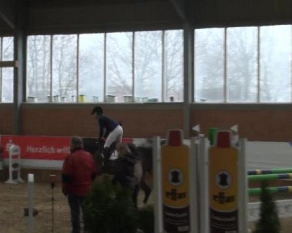Grevener-Hallenspringturnier 2013