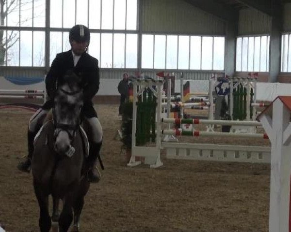 Grevener-Hallenspringturnier 2013