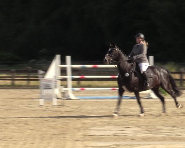 Reitturnier Hemer-Oese an der Edelburg 2024