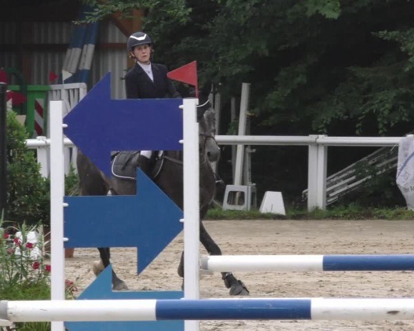Reitturnier Hünfelden-Kirberg 2024