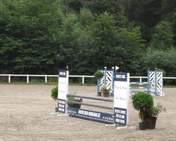 Reitturnier Hünfelden-Kirberg 2024