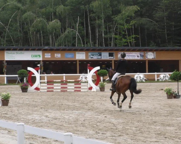 Reitturnier Hünfelden-Kirberg 2024