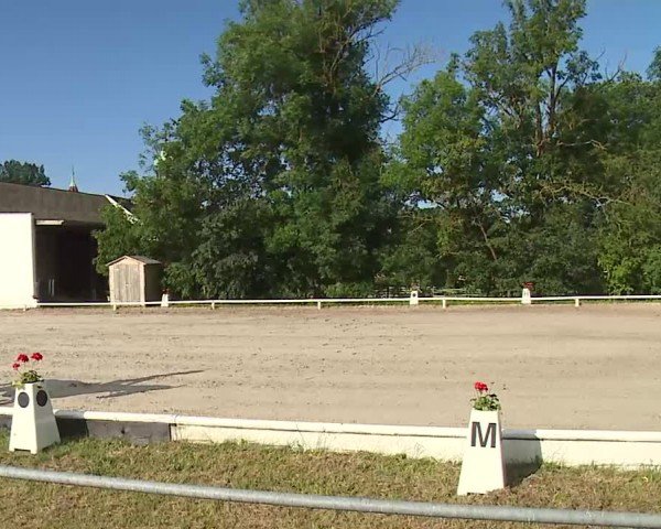 Reitturnier Hof-Haidt/Ofr. 2024