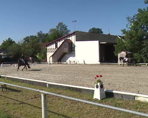 Reitturnier Hof-Haidt/Ofr. 2024