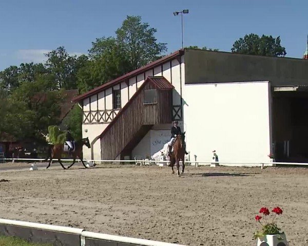 Reitturnier Hof-Haidt/Ofr. 2024