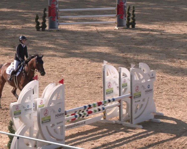 Reitturnier Stadl-Paura 2024
