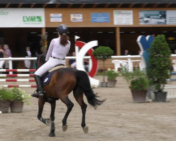 Reitturnier Hünfelden-Kirberg 2024