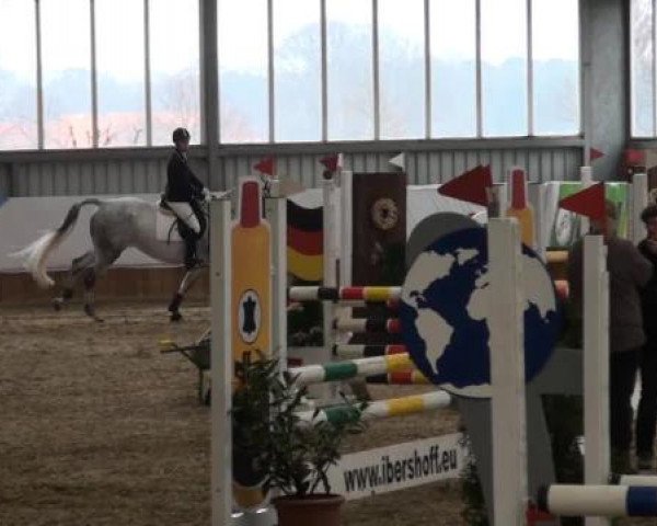 Grevener-Hallenspringturnier 2013