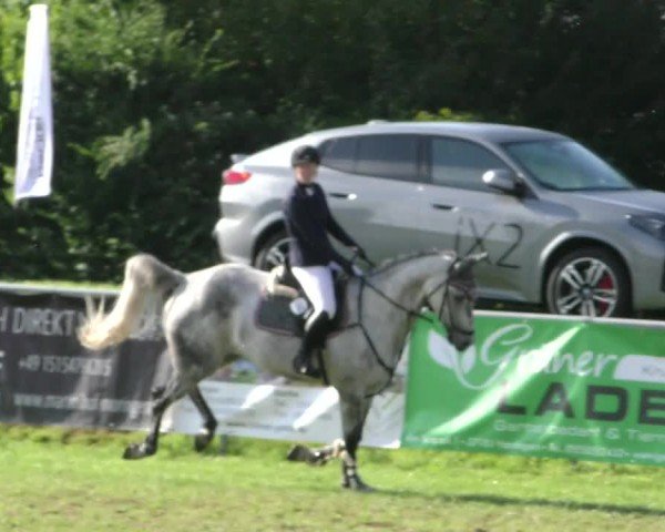 Reitturnier Moringen 2024