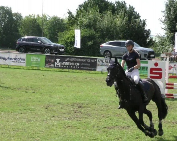 Reitturnier Moringen 2024