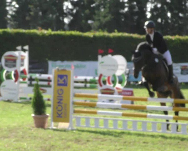 Reitturnier Moringen 2024
