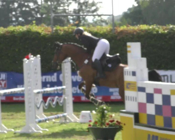 Reitturnier Moringen 2024