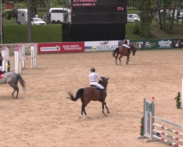 Reitturnier Stadl-Paura 2024