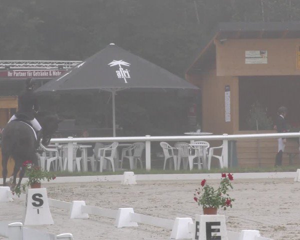 Reitturnier Hünfelden-Kirberg 2024