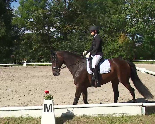 Reitturnier Hof-Haidt/Ofr. 2024