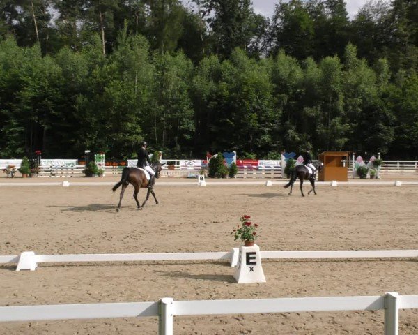 Reitturnier Hünfelden-Kirberg 2024