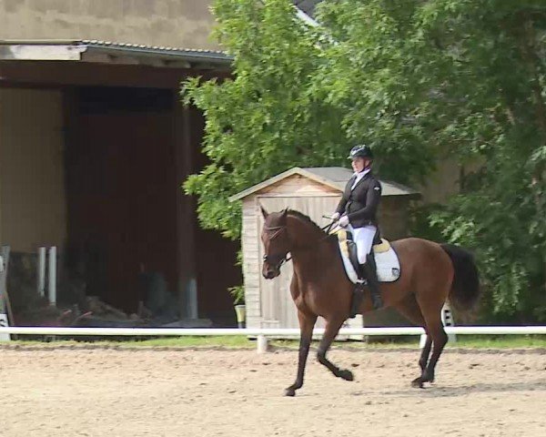 Reitturnier Hof-Haidt/Ofr. 2024