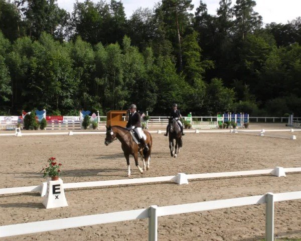 Reitturnier Hünfelden-Kirberg 2024