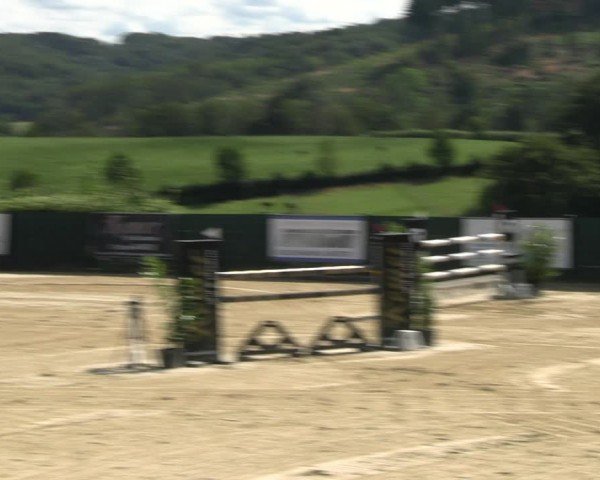 Reitturnier Lindlar-Süttenbach 2024