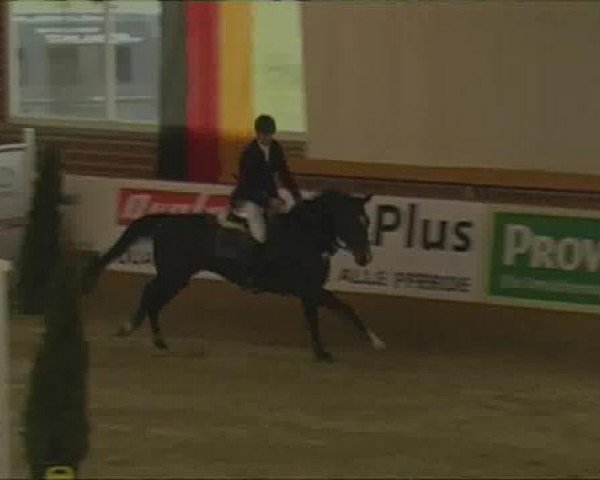 Rosendorf-Classics 2013