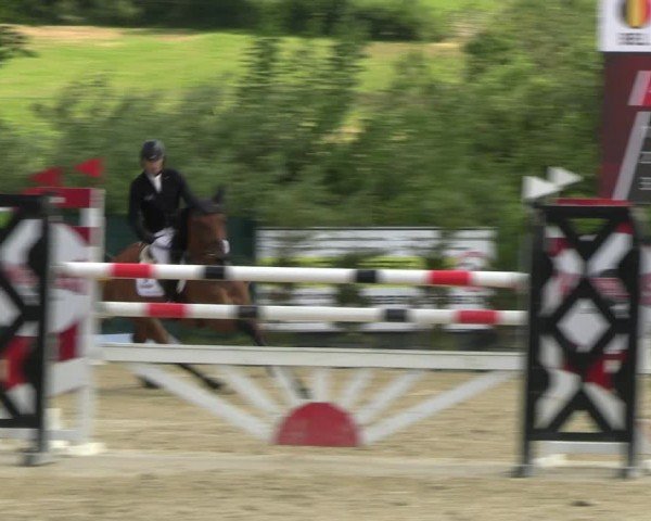 Reitturnier Lindlar-Süttenbach 2024