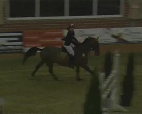 Rosendorf-Classics 2013