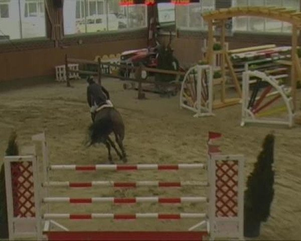 Rosendorf-Classics 2013
