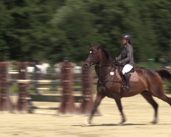 Reitturnier Hemer-Oese an der Edelburg 2024