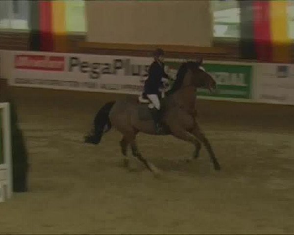 Rosendorf-Classics 2013